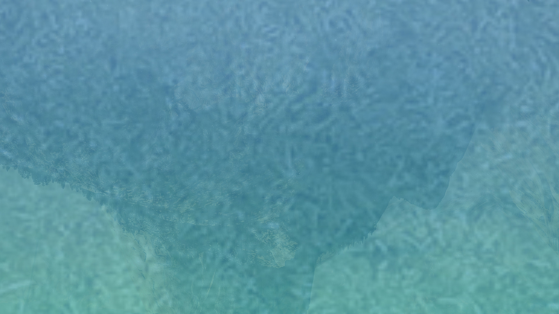 哪里有保障的云呼电话测压网页版